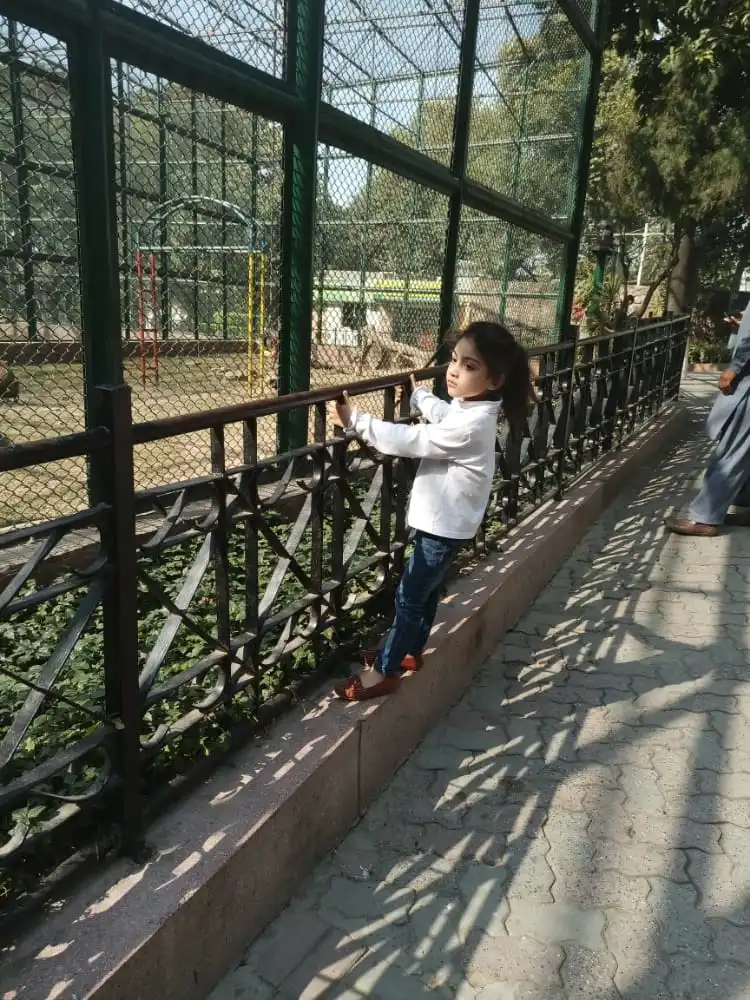 A Visit To Zoo