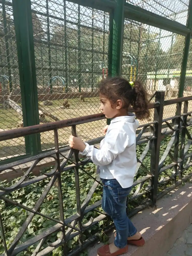 A Visit To Zoo