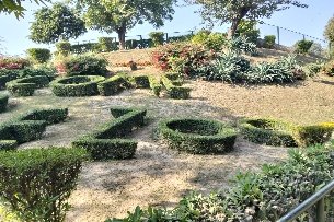 Young Learners' Visit To The Zoo